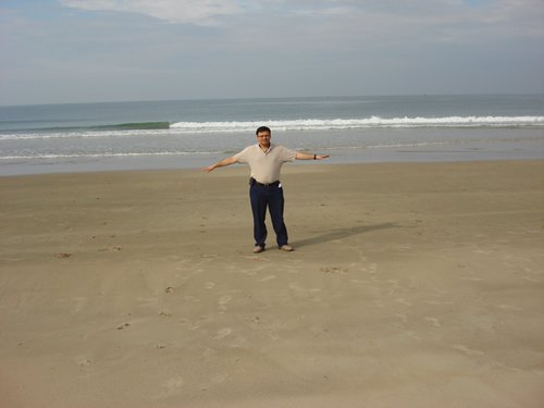 Beach scene with man and ocean waves.